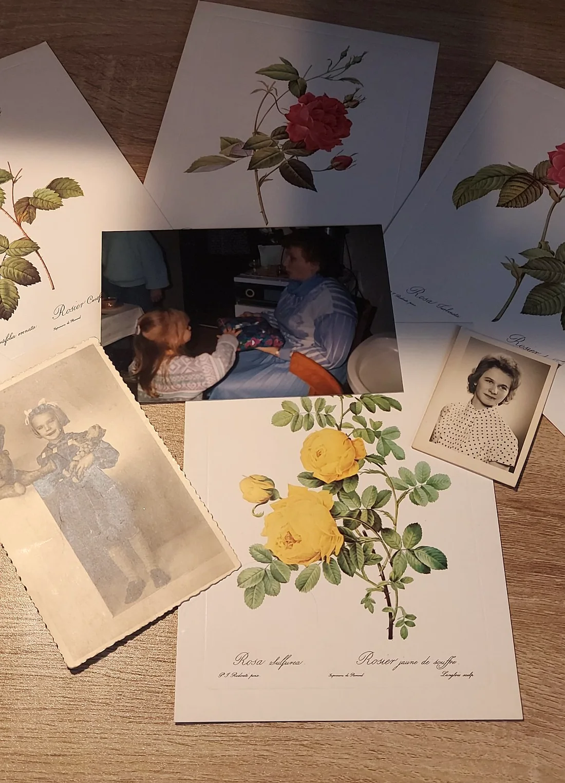 Photos de famille et gravures de roses, la lignée des femmes d'Or & Lie