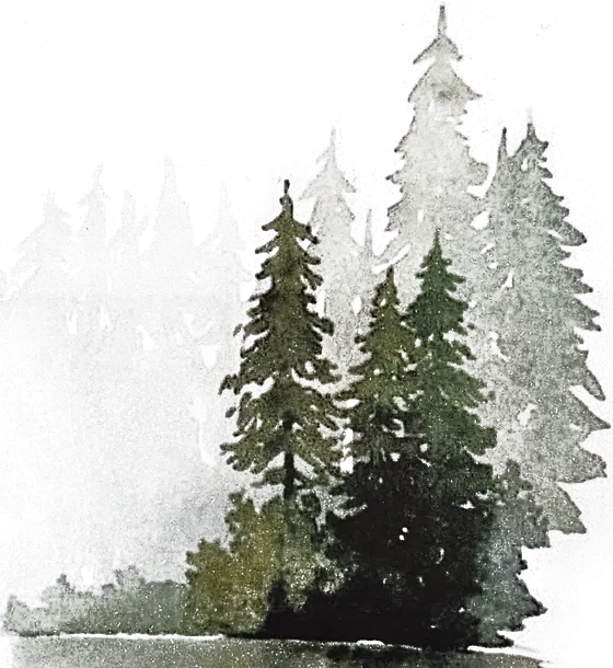 Sapins Aquarelle Detoures